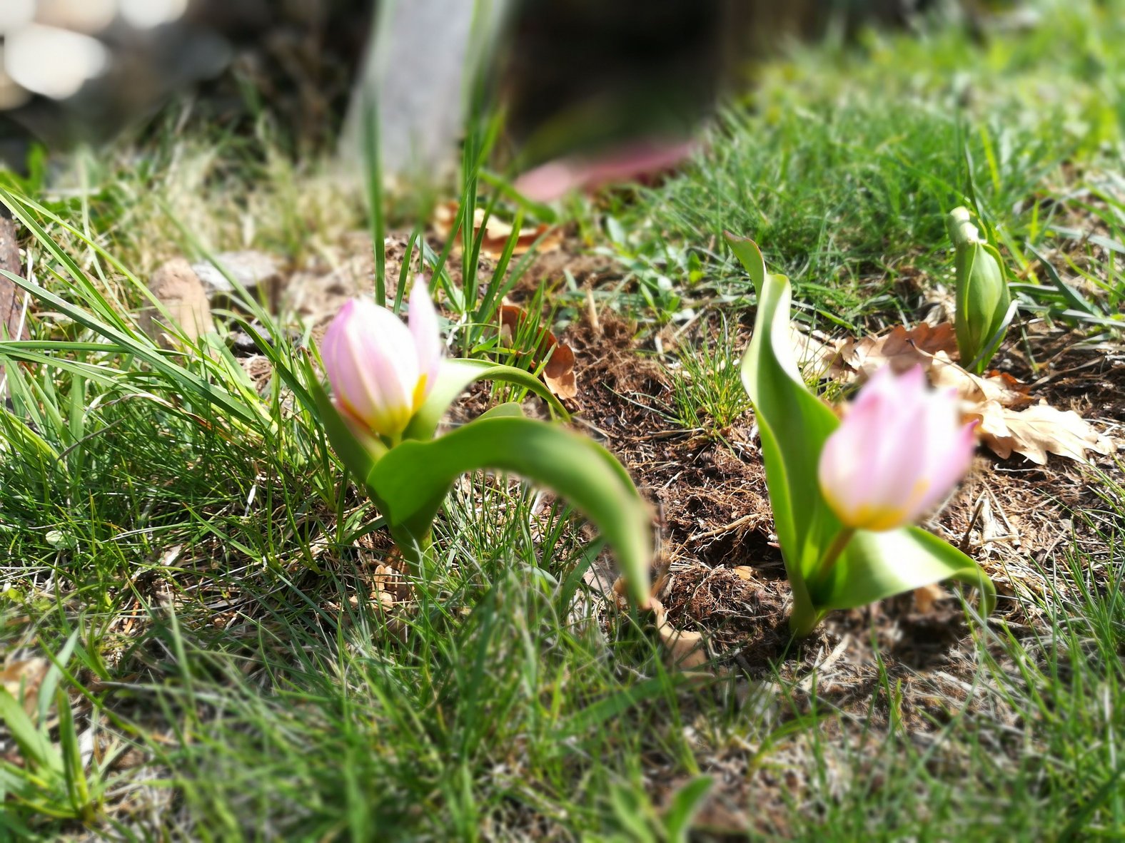 IMG_20190406_145839